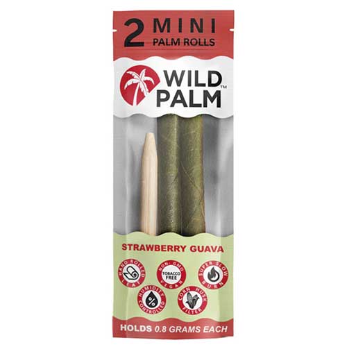 WILD HEMP - MINI WILD PALM ( PALMITOS )